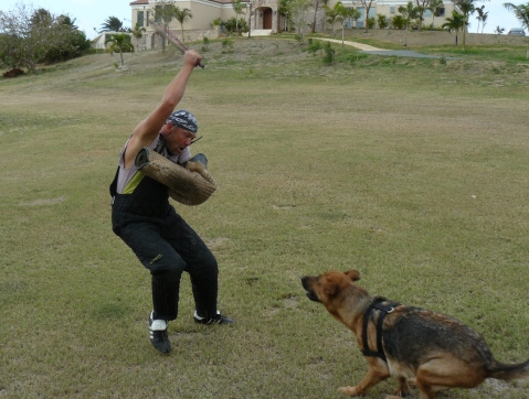 Seminar on Virgin Islands 2008